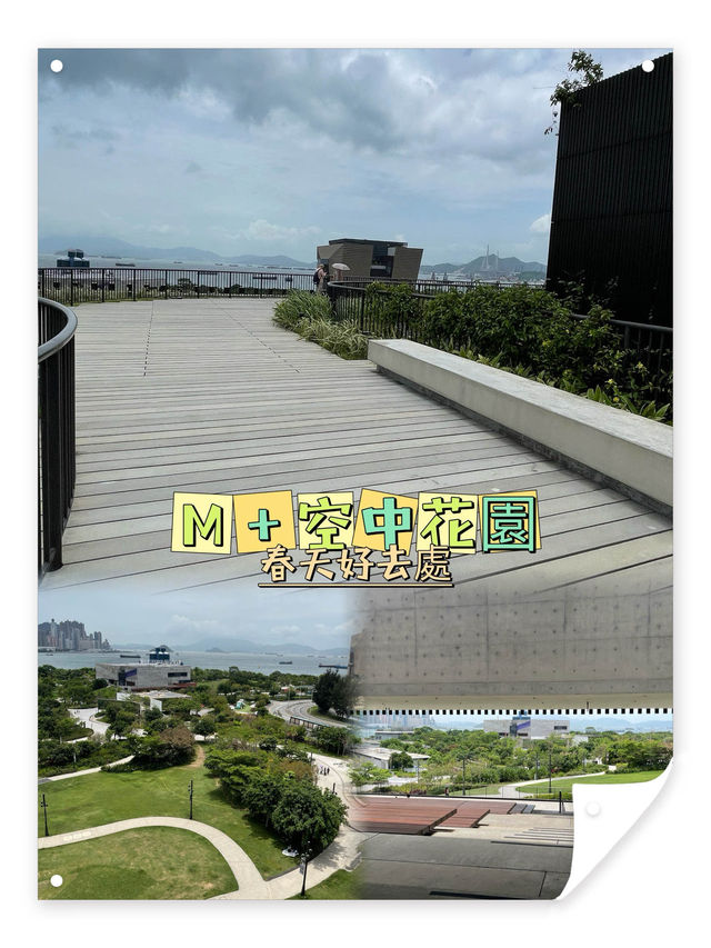🌼🌸 春日寧靜楽園 🌸🌼 M+空中花園：春日散步好去處！