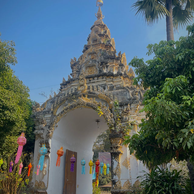 Doi Inthanon is always the place to visit during the coldest time of the Year. 