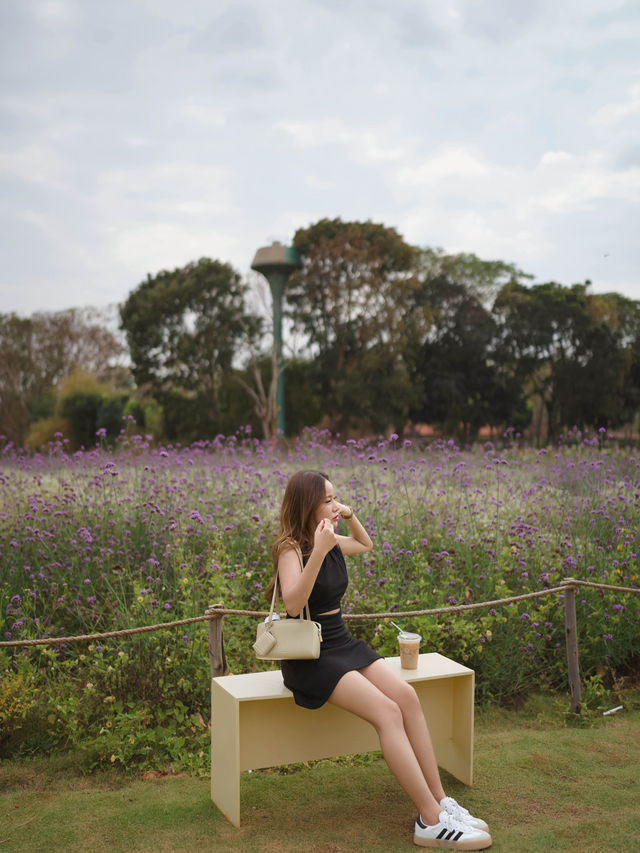 blossombloom