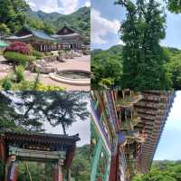 【首爾】Yongmunsan Tourist Site：1086年銀杏樹，韓國必去打卡點