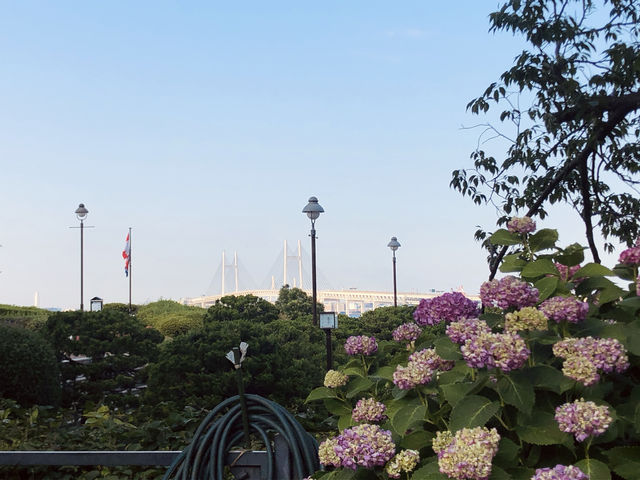 港の見える丘公園@横浜🌹