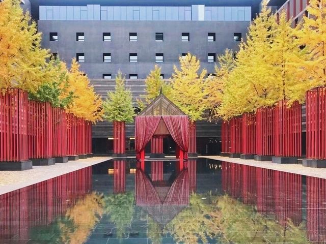 ✨ Stay at Westin Xi'an 