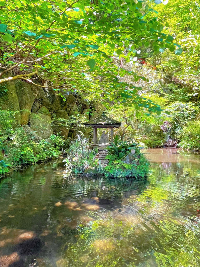 必見🗽圧巻の世界一の涅槃像🗽福岡県