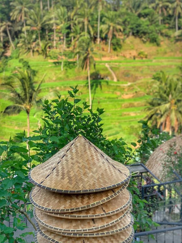 🇮🇩Must-Visit Natural Beauty in Bali, SAVE this💕🇮🇩