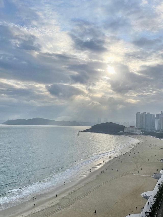 🏰 해운대 바다가 파노라마로 펼쳐진 휴양 숙소 팔레드시즈💙
