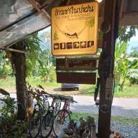 ร้านบ้านชาในป่าฝน Tea House in Rainforest