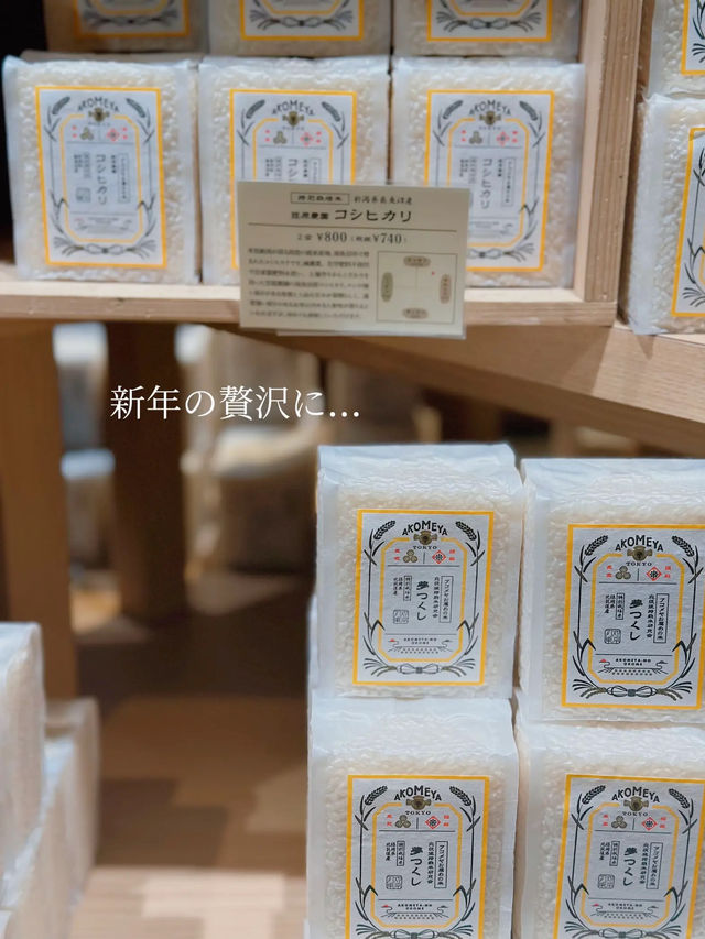 【神楽坂🎍】縁結びを願う❤️初詣スポットを巡るプラン⛩️✨