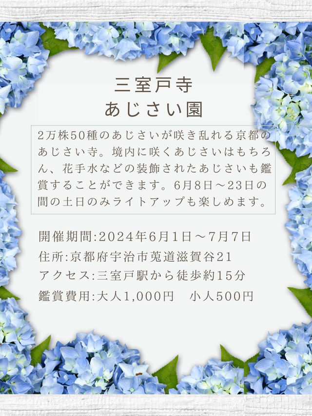 【京都】2万50種のあじさいを鑑賞できるあじさい寺
