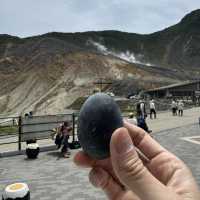 箱根一日快閃油再回新宿