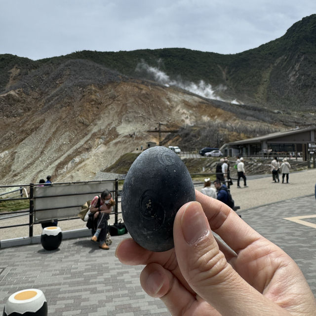 箱根一日快閃油再回新宿