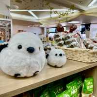 Discover Hokkaido's Star Plaza Gem