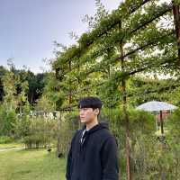 푸릇푸릇한 수풀속의 낙원 에덴 파라다이스🌳