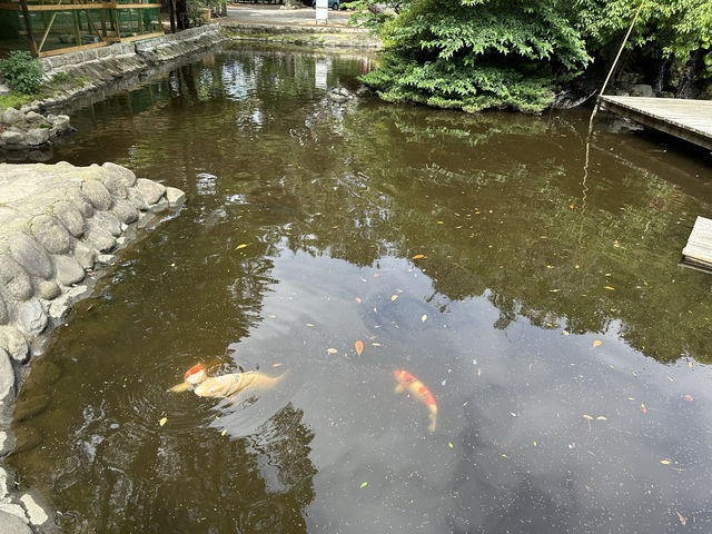 神奈川・平塚。『平塚八幡宮』