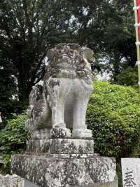 【福岡神社】初夏には菖蒲祭りも行われる神社