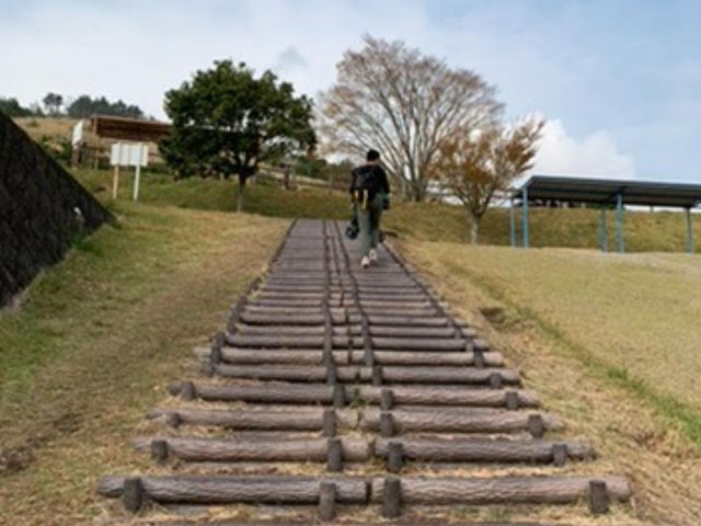 不一樣的郊外公園