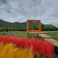 คาเฟ่สไตล์สวนผลไม้ใกล้วัดถ้ำเสื้อ มุมถ่ายรูปเพียบ