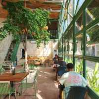 Jackfruit Brunch & Coffee