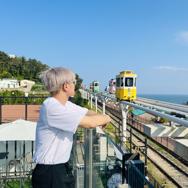Dongbeak Dessert Café