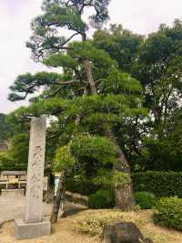 【日本四國】栗林公園：完美融合江戶時期園林設計的精髓