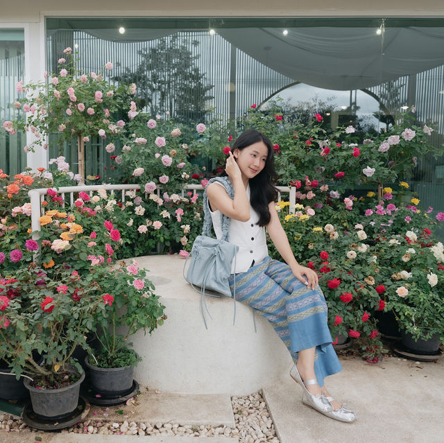Kaffe Cheewan : คาเฟ่เชียงใหม่