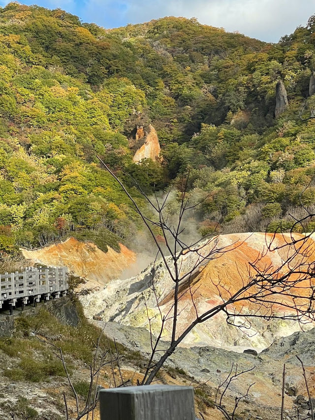 Jigokudani (Hell Valley) 