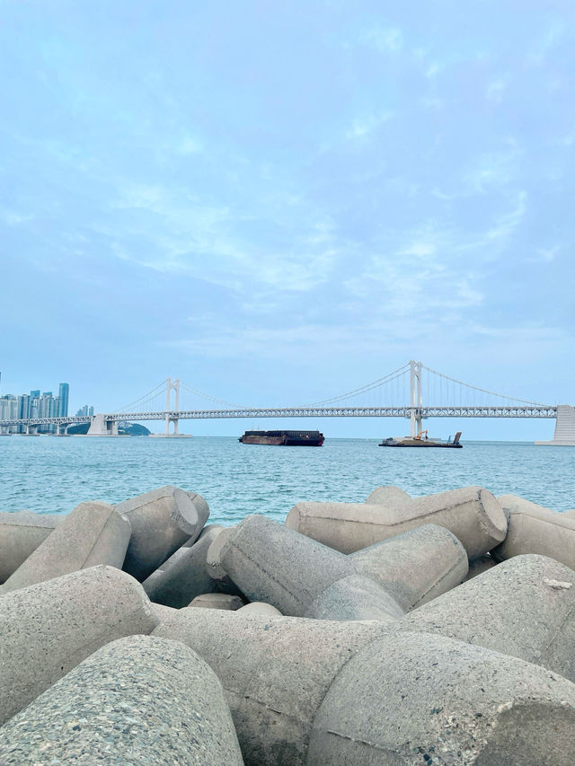 부산 광안리 트래킹 챌린지 참여했어요💙