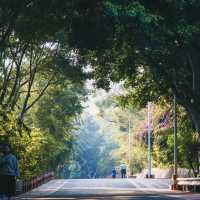 碧山巖：優質綠道，感受大自然魅力