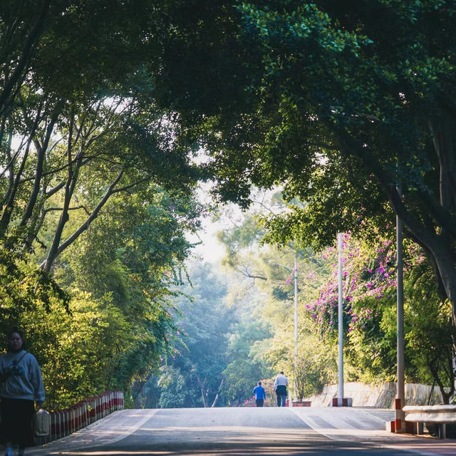 碧山巖：優質綠道，感受大自然魅力