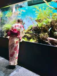 〜東京都〜お台場！雨でも遊べる！アク和リウムが幻想的✨