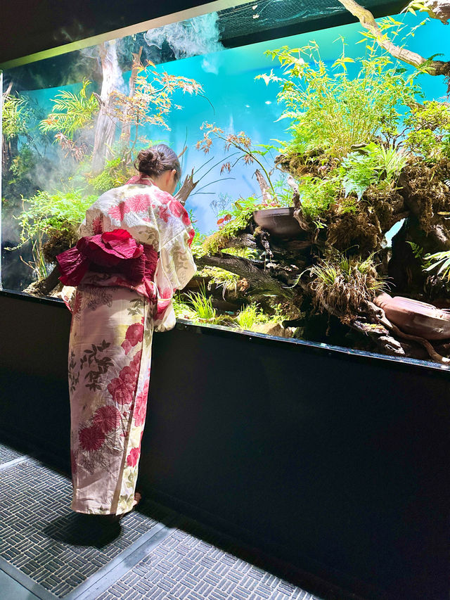 〜東京都〜お台場！雨でも遊べる！アク和リウムが幻想的✨