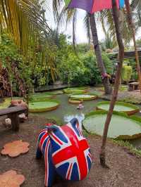 O2 Kaffee&Bistro คาเฟ่ในสวนมะพร้าว@สามพราน