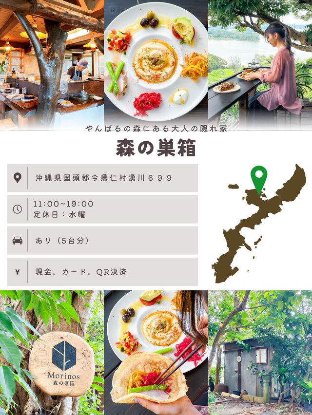 沖縄のやんばるの森を進むと見えてくる、秘密基地🌱