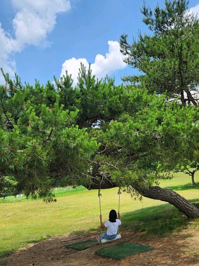 🤍데이트하며 사진 한가득 남기기 좋은 "경주 화랑의언덕"🤍