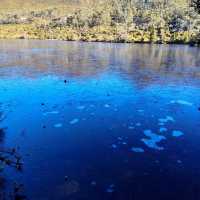 the best of Tassie