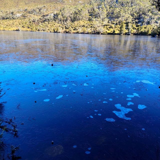 the best of Tassie