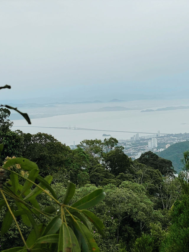 Explore The Habitat Penang Hill