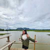 จุดชมวิวหนองสมอ