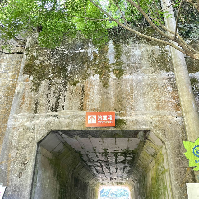 【大阪府／箕面】箕面の滝　