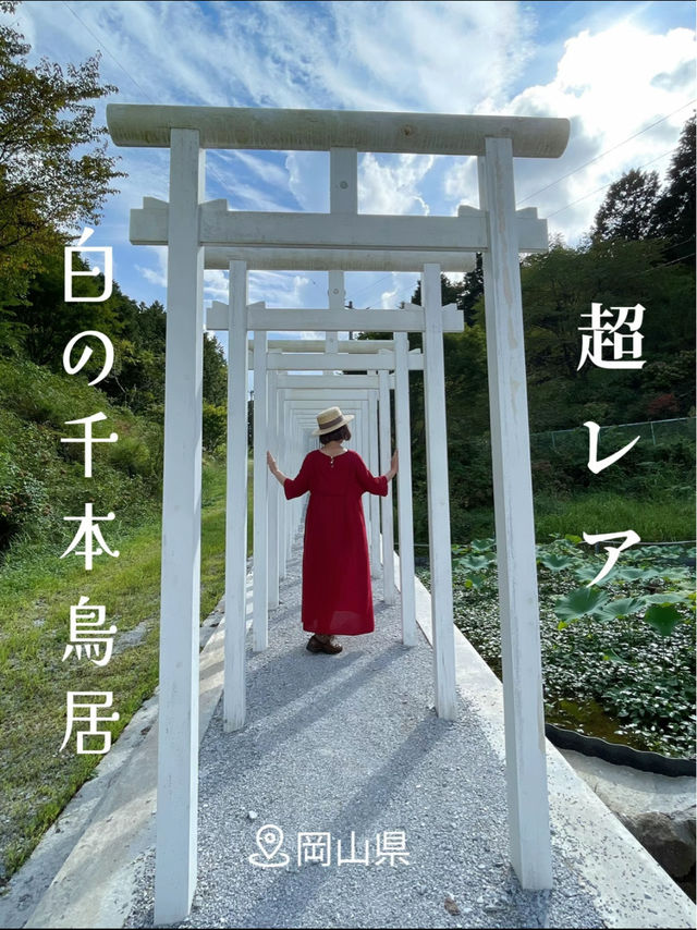 超話題の映えスポット！一度は見てみたい美しい白の千本鳥居🤍