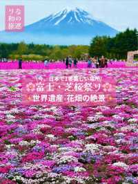 〜山梨県〜目が覚める👀日本一の絶景スポット🌸富士芝桜祭り✨