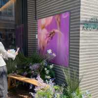 カロスキルにあるAROMATICAの店舗🤍✨