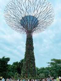 Gardens by the Bay: A Vertical Garden Wonderland