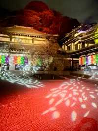 〜神奈川県〜関東の花寺、鎌倉長谷寺秋のライトアップ