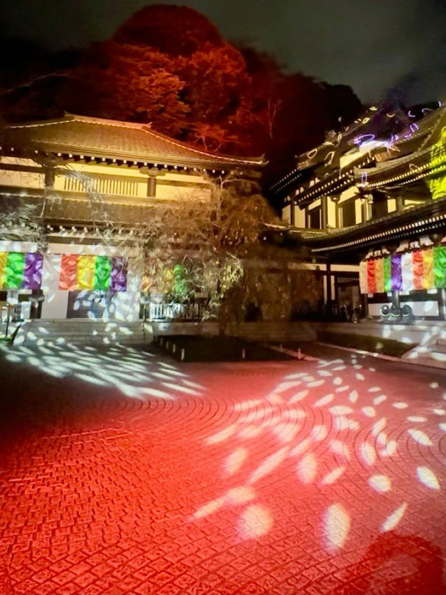 〜神奈川県〜関東の花寺、鎌倉長谷寺秋のライトアップ
