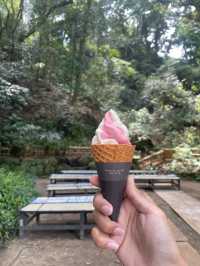 Magical day trip from Tokyo.