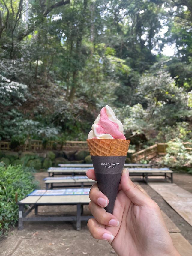 Magical day trip from Tokyo.