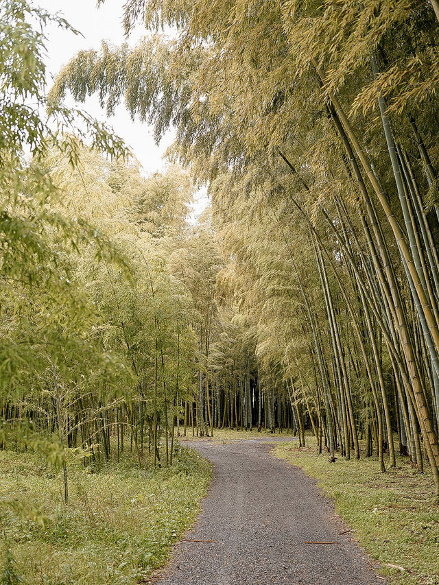 📍若竹の杜 若山農場