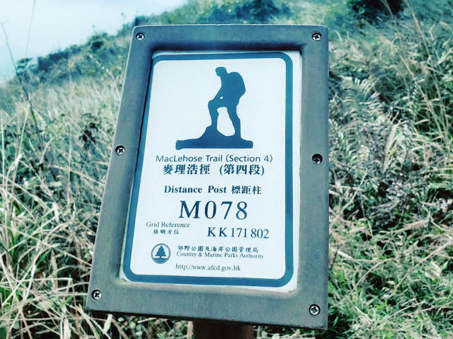 【香港沙田】彎曲山：壯觀山景，交通方便