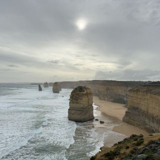Melbourne Great Ocean Road Twelve Apostles Day Tour (Scenery, Wildlife)