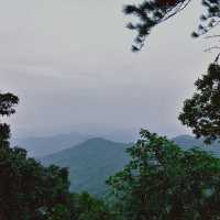 ดอยผาสามเหลี่ยม - เชียงใหม่ 
